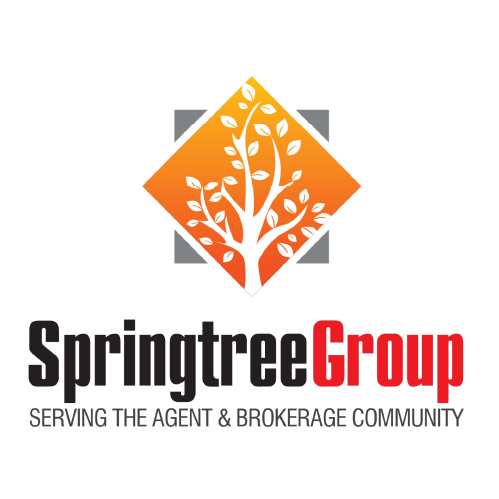 Logo of Springtree Group featuring an orange diamond with a tree and the text below.